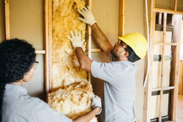 Best Insulation Contractors for Homes  in Newport, AR